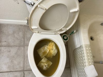 Toilet Unclogging Services
